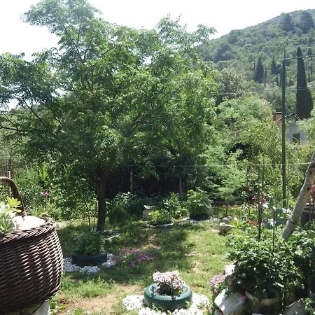 Nice In With Wifi And 1 Bedrooms * Maranovići